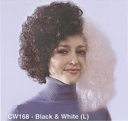 BCW168 Women Costume Wig, Black & White (L)
