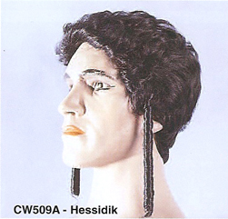 BCW509A Men Costume Wig, Hessidik