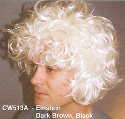 BCW513A Men Costume Wig, Einstein