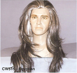 BCW515 Men Costume Wig, Egyptian
