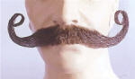 BECM11LG MOUSTACHE PIPER