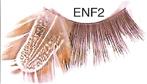 BENF2 Glamorous Lashes