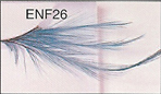 BENF26 Glamorous Lashes Wholesale