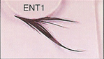 BENT1 Glamorous Lashes