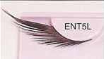 BENT5L Glamorous Lashes