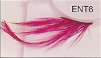 BENT6 Glamorous Lashes Wholesale