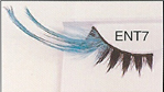 BENT7 Glamorous Lashes Wholesale