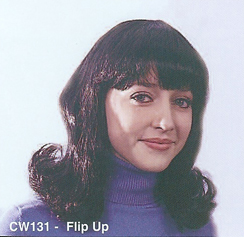 BCW131 FLIP UP