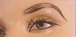 BECEBF FEMALE EYEBROW