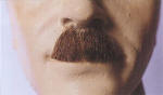 BECM12 MOUSTACHE CHAPLIN