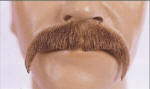 BECM1 MOUSTACHE