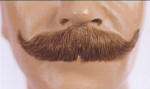 BECM4 MOUSTACHE AMBASSADOR 2