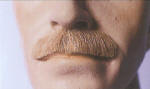 BECM7 MOUSTACHE EXECUTIVE 1