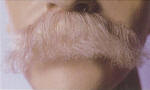 BECM9 MOUSTACHE CLASSIC