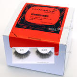 Pack of 24 eyelash pack, Item # BEL20