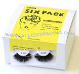 Bulk eyelashes, Wholesale false eyelashes, 6 pack eyelashes in bulk, wholesale eyelash extensions, sold in pack quantity, eyelash supply allied trading