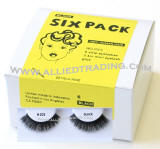 Bulk eyelashes, Wholesale false eyelashes, 6 pack eyelashes in bulk, wholesale eyelash extensions, sold in pack quantity, eyelash supply allied trading