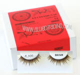 Wholesale brown eyelash extensions, Beautiful wholesale brown eyelash extension, Human hair. Wholesale distributor, Allied Trading, Los Angeles, CA 90057