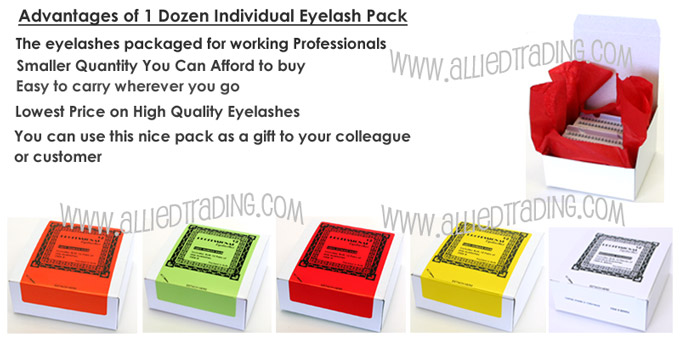 Cheap high quality individual eyelashes, 2 dozen pack