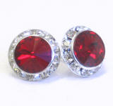 AR253 Swarovski Channel Stud Earrings, 15mm